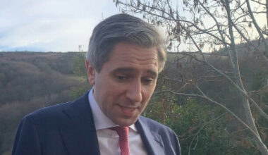 Tánaiste commends Irish ambassador after interaction with Israeli minister over Herzog Park - The Journal