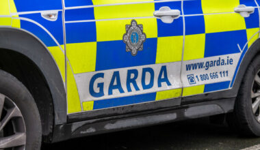 Woman arrested in connection with investigations into money laundering released without charge - The Journal