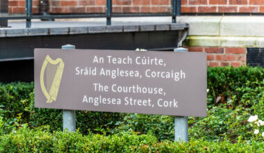 Former Fianna Fáil councillor who harassed waitress at work given nine-month suspended sentence - The Journal