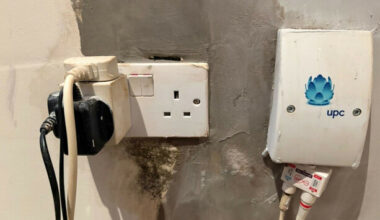 Dublin social housing tenants dealing with mushrooms, mould, slugs and electrical hazard from water leak