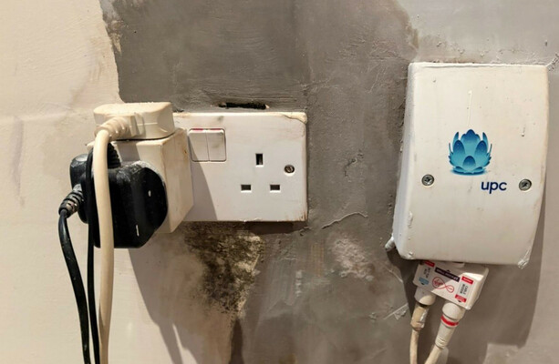 Dublin social housing tenants dealing with mushrooms, mould, slugs and electrical hazard from water leak