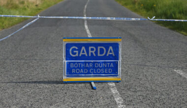 Woman (70s) dies after single-vehicle crash in Co Limerick - The Journal