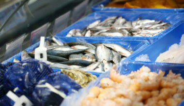 New EU fishing agreement will be 'catastrophic' for Ireland, industry warns - The Journal