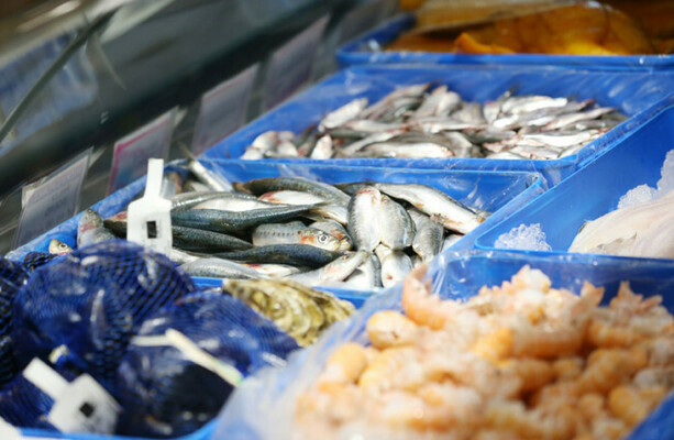 New EU fishing agreement will be 'catastrophic' for Ireland, industry warns - The Journal