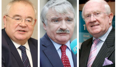 Three veteran Fianna Fáil TDs call for the immediate publication of the Jim Gavin review - The Journal