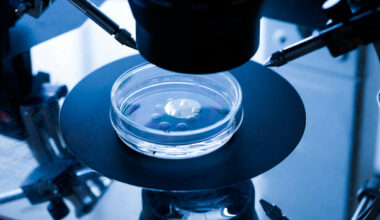 Ad for IVF clinic set up in 2021 that said it has been around for 40 years deemed misleading