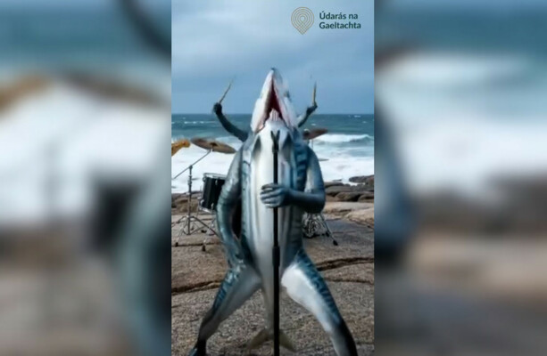 Údarás na Gaeltachta's AI competition faces backlash from artists