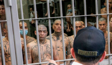 Outcry after US broadcaster pulls programme on alleged abuses at Trump deportation prison - The Journal