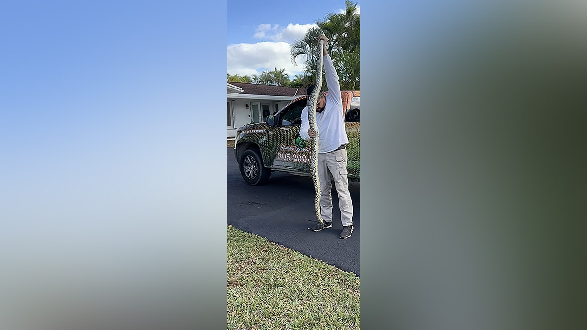 Man holds a Burmese python outside a Florida home