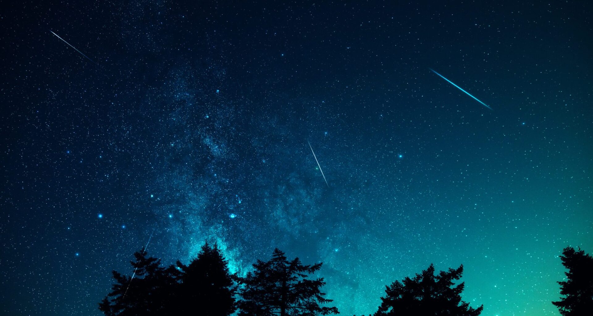 Milky Way stars with meteor shower trails and countryside tree silhouettes.