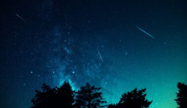 Milky Way stars with meteor shower trails and countryside tree silhouettes.