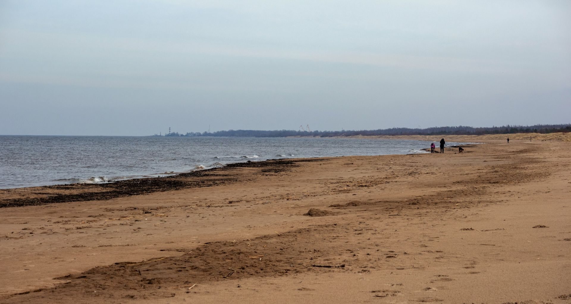 Residents near Chesil Beach in the UK were shocked to discover a dead Risso's dolphin washed up on the shore.