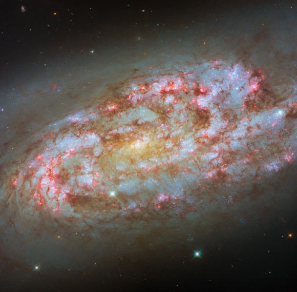 This Hubble image shows the active spiral galaxy NGC 1792. Image credit: NASA / ESA / Hubble / D. Thilker / F. Belfiore / J. Lee / PHANGS-HST Team.