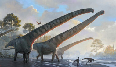 Paleontologists Discover New Species of Mamenchisaurid Dinosaur