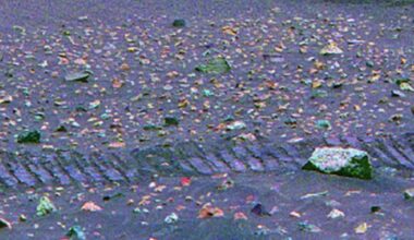 Mars Was Warmer, Wetter Millions of Years Ago, Planetary Scientists Say