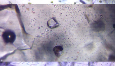 Example photographs of primary, mixed, and secondary halite inclusion assemblages. Image credit: Park et al., doi: 10.1073/pnas.2513030122.