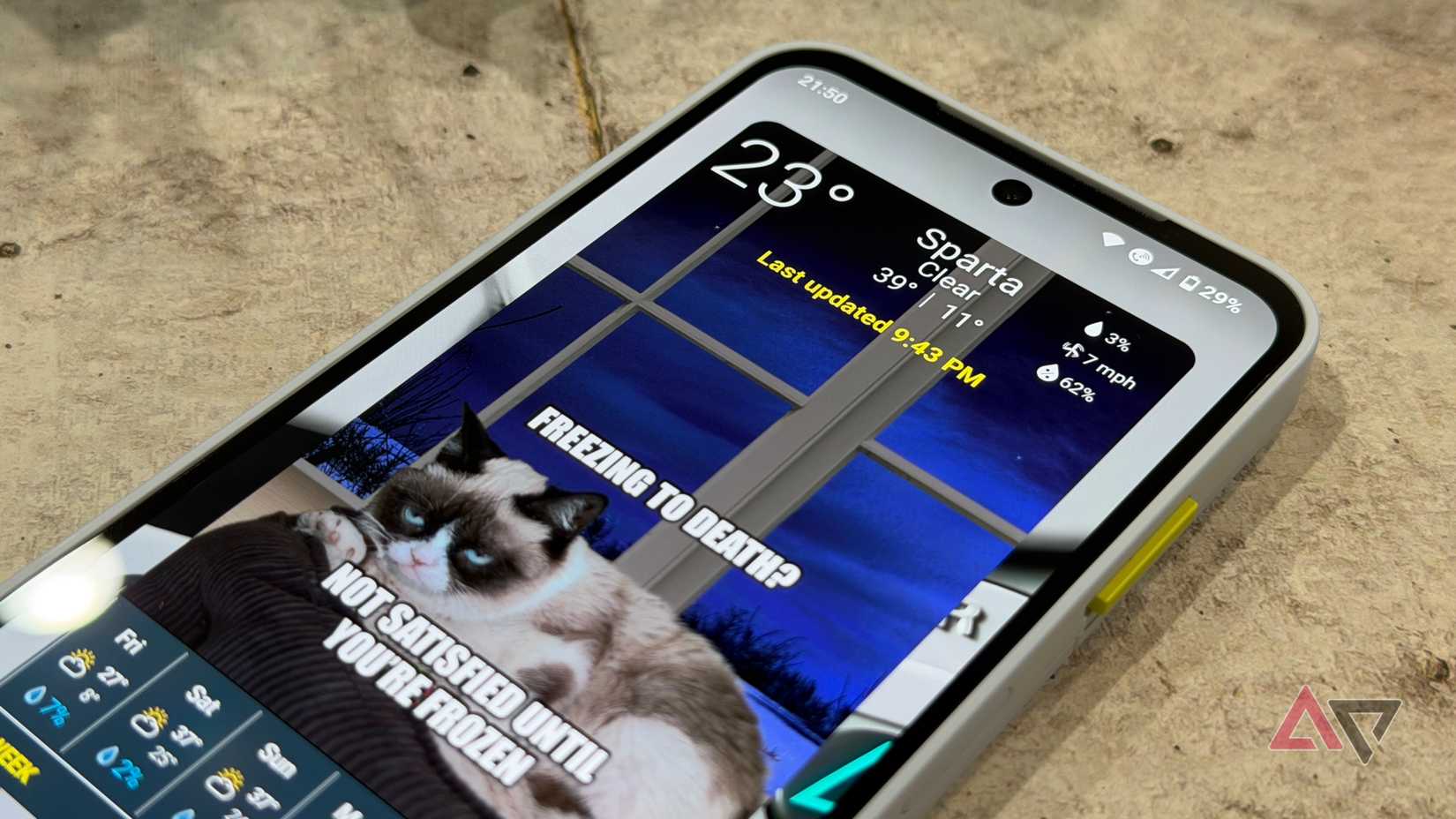 Grumpy Cat Weather widget shown on an Android home screen