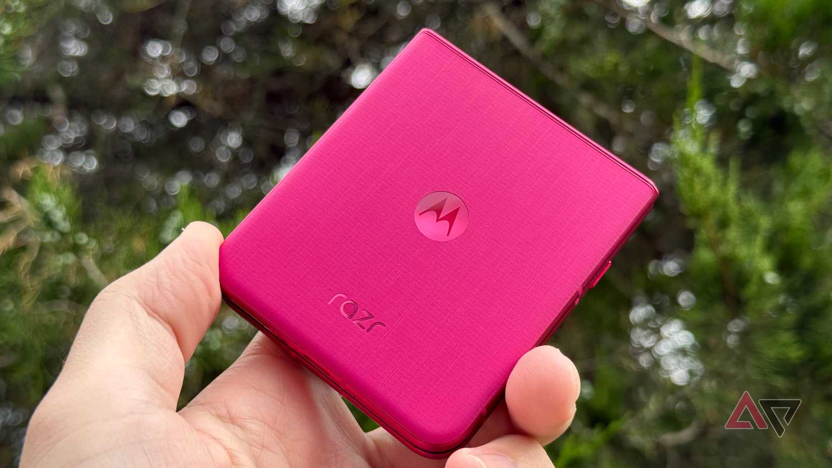 Motorola Razr Ultra held up against an evergreen tree