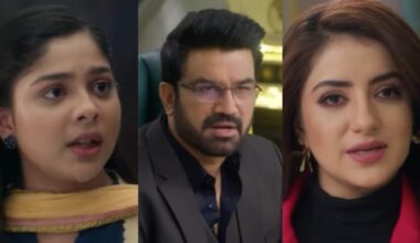 Kis Kisko Pyaar Karoon 2 Day 12 Box Office Collection: Collections Remain Low on Second Tuesday 980629