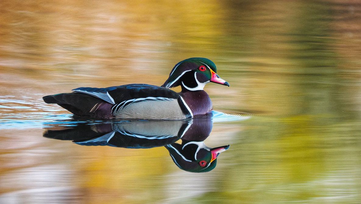 Mistakes That Quietly Ruin Sharp Photos