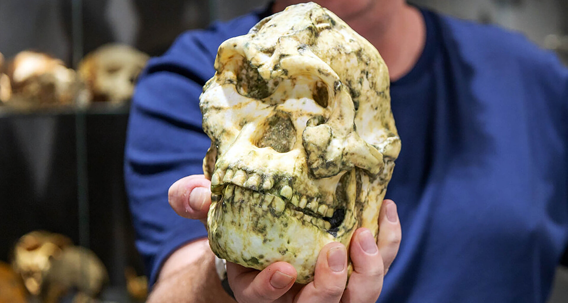 'Little Foot' fossil might be a completely new human species