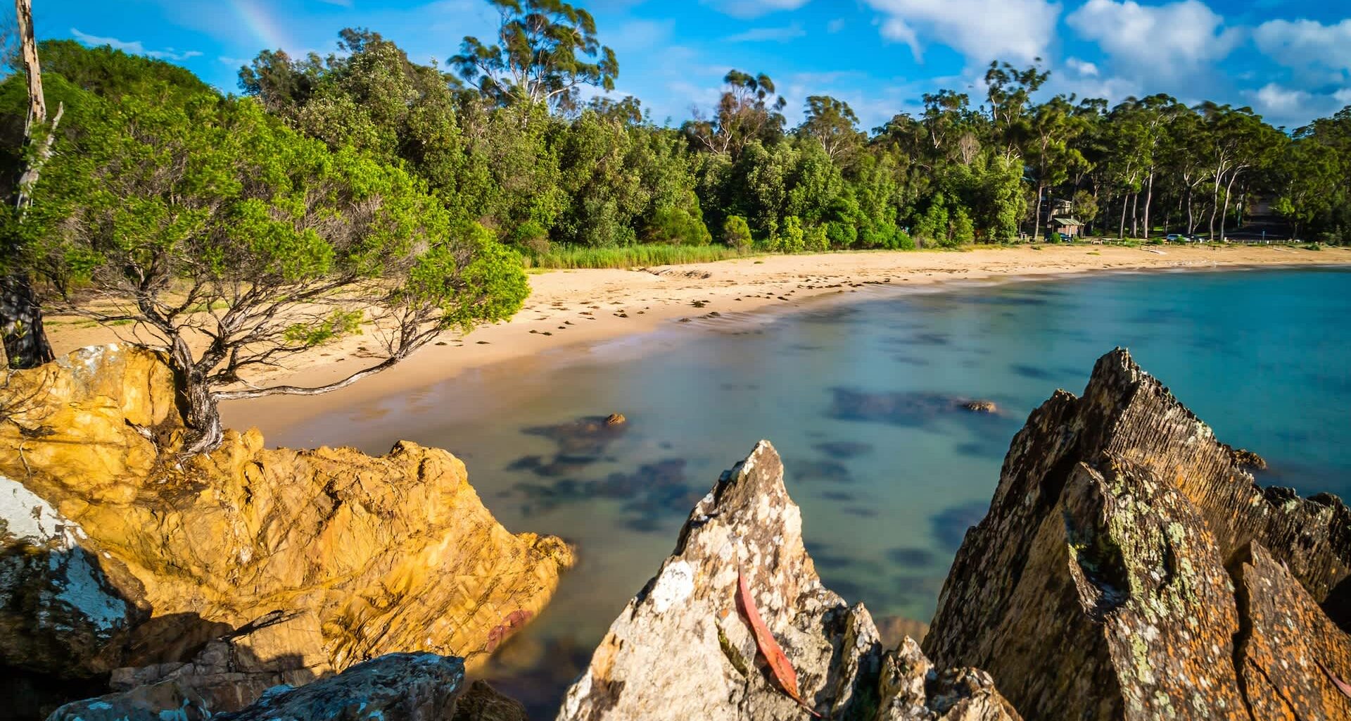 The south coast of New South Wales, Australia, was once home to little penguins before severe storms and predators drove them to extinction in the area in the 1990s.