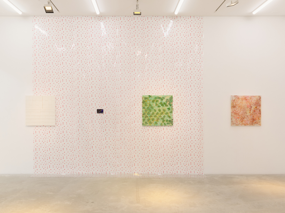 Mimosa Echard | 4Columns