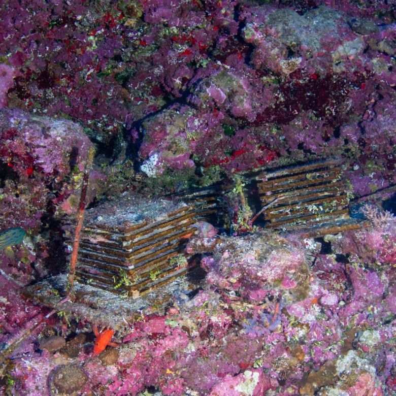 Monitoring devices pictured in November 2025 after spending eight years in Guam's deep reefs.