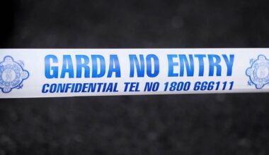Man (40s) dies after being hit by car in Kildare