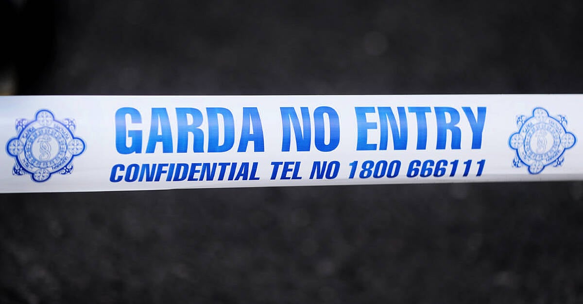 Man (40s) dies after being hit by car in Kildare