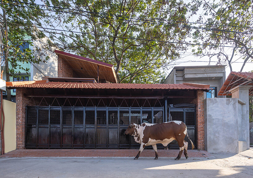 trung tran studio vietnam