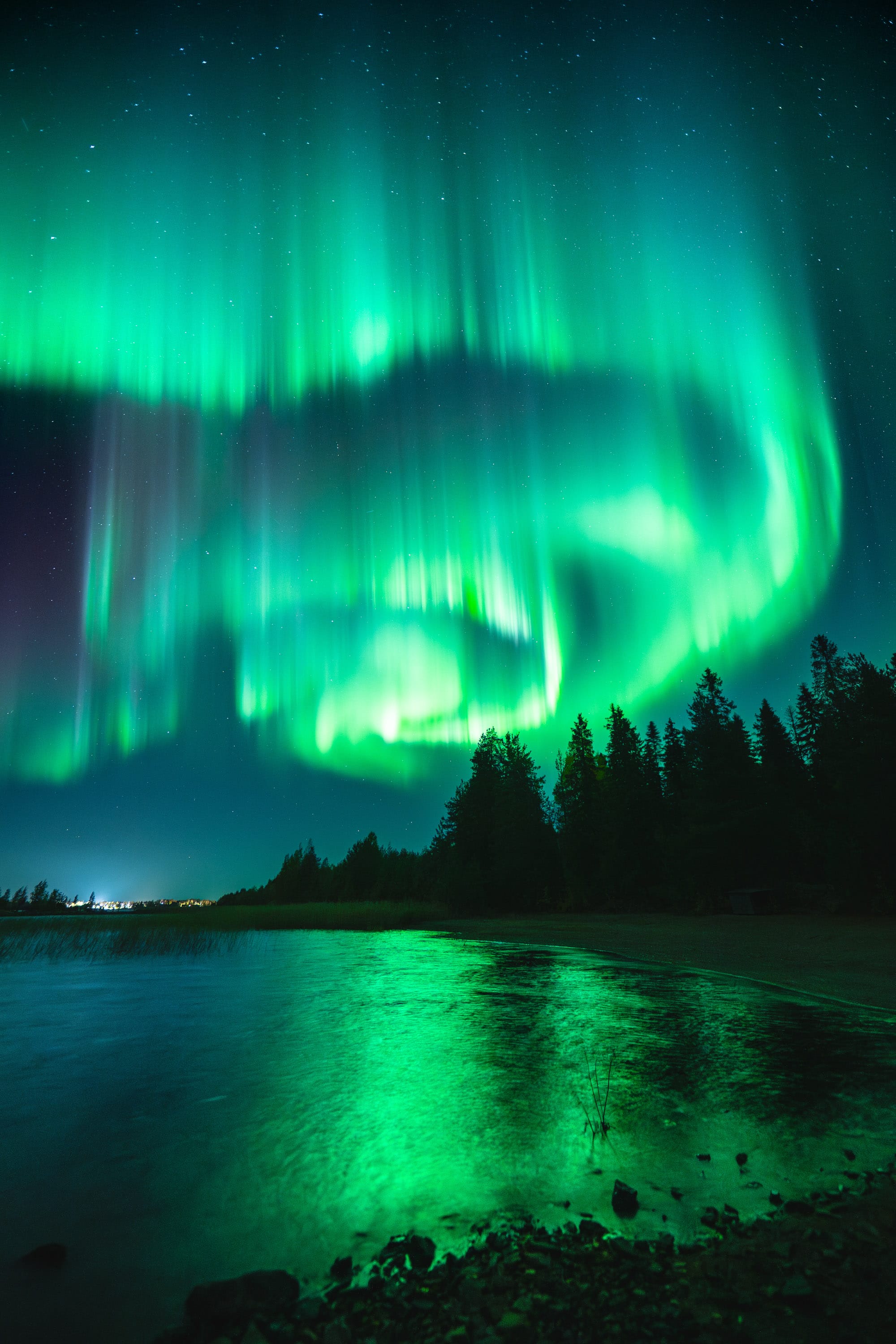 Green aurora borealis over a watery, tree-line landscape