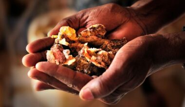 Why the world is running out of frankincense