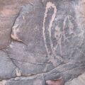 petroglyph