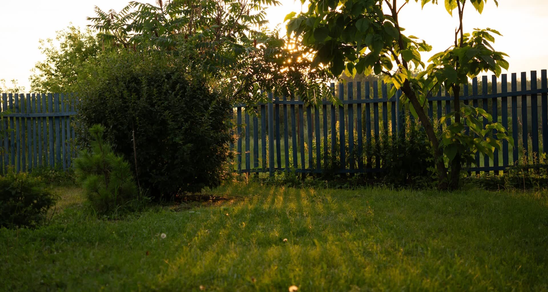This gardener has a friendly relationship with the possums who snack in their garden.