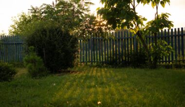 This gardener has a friendly relationship with the possums who snack in their garden.