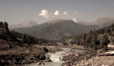 Villagers first spotted the huge bear struggling in a northern Indian stream and called for help.