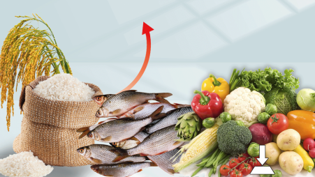 Illustration: Ashrafun Naher Ananna/TBS Creative