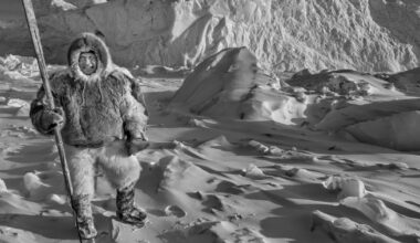 2025 Winners of the World's Longest-Running Photo Prize