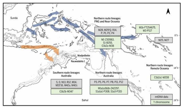First Australians Arrived 60,000 Years Ago Via Two Routes, Gene Study Suggests