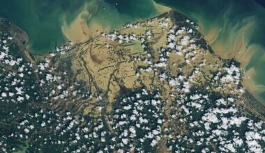 Senyar Swamps Sumatra