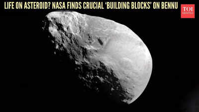 Signs of life on asteroid? NASA detects crucial 'building blocks' on Bennu