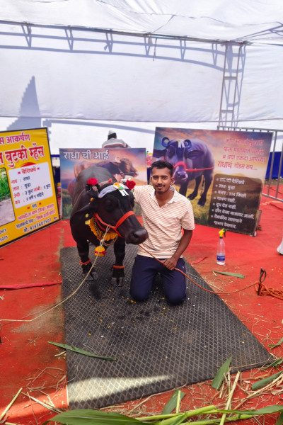 At the agricultural event