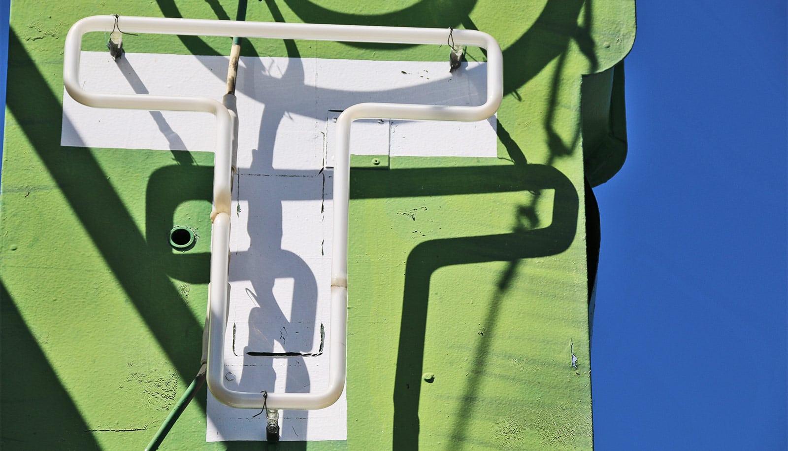 T cell insight may boost cancer immunotherapies