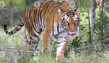 Representational Image: Manorama Archives