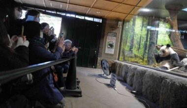 Thousands bid farewell to last 2 pandas in Japan before their return to China