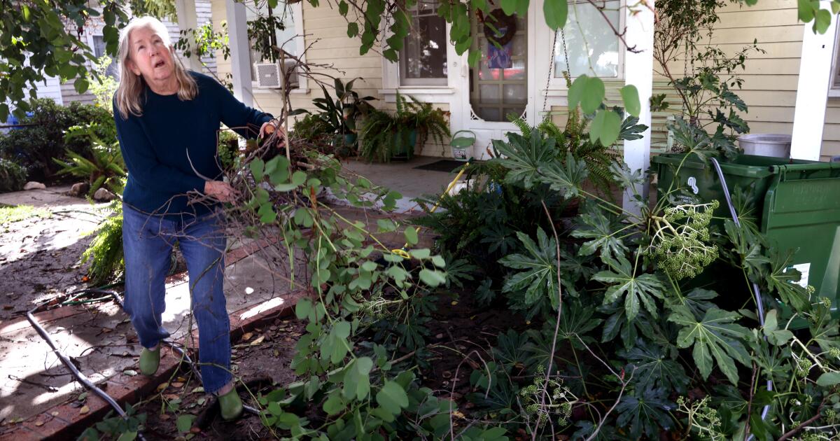 Yes, that was a tornado in Los Angeles on Christmas
