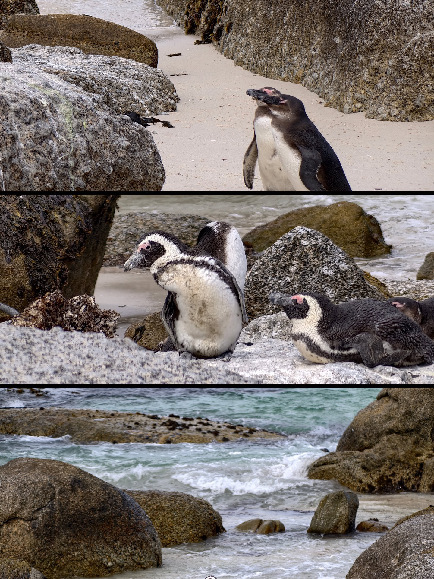 vivo X300 Pro AI story 1 vivo X300 Pro AI story 1