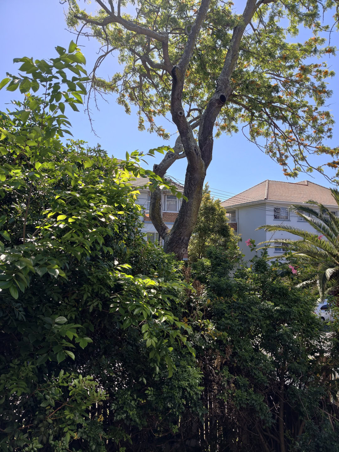 vivo X300 Pro no glare scaled