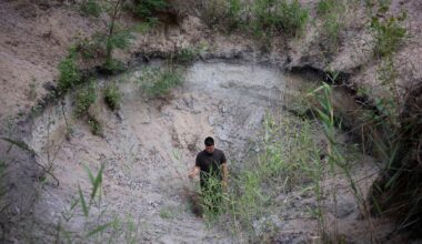 Hungary's 'water guardian' farmers fight back against desertification